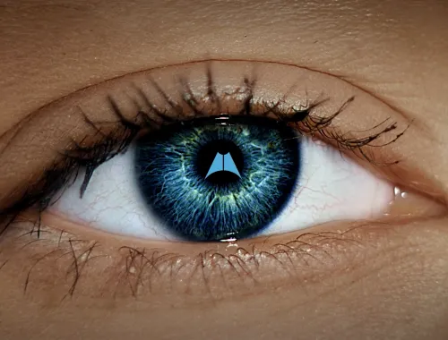 Masergy Vision